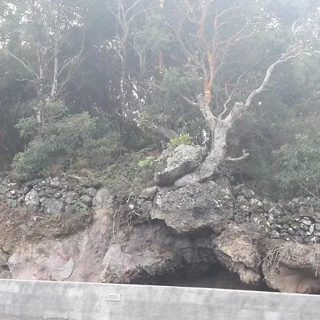 Al - Boa Nova Apartment Madalena (Azores)