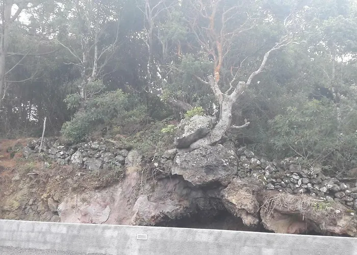 Al - Boa Nova דירה מדלנה